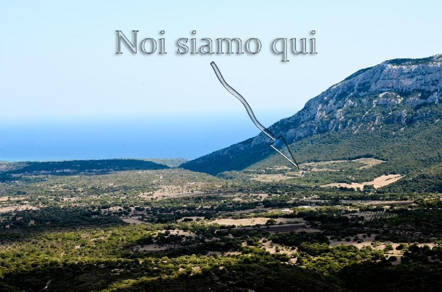 B&B Cala Cartoe Dorgali Dış mekan fotoğraf